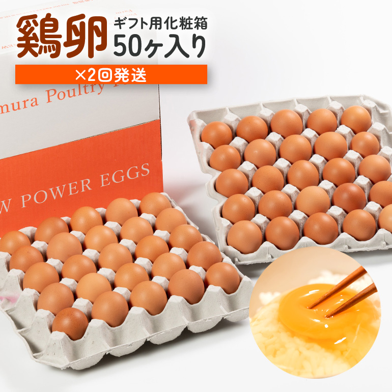 【定期便】鶏卵 （ギフト用化粧箱50ヶ（45＋補償5）入り ×2回発送） 15-D