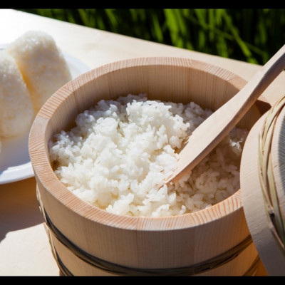 【蛇紋岩ブランド　華やか一膳10kg】