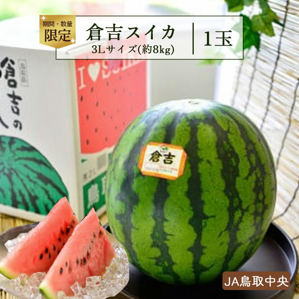 【ふるさと納税】倉吉スイカ1玉 （JA鳥取中央）3Lサイズ すいか 鳥取 大玉 果物 フルーツ スイカ 数量限定 期間限定