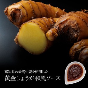 食べ比べ！完全天日塩仕込みハンバーグ3種各1個セット 特製デミグラス 黄金しょうがソース付き