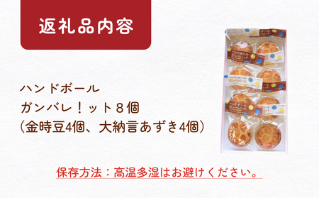 ハンドボールガンバレ！ット 8個 富山県 氷見市 ガレットブルトンヌ 焼き菓子 おやつ ハンドボール