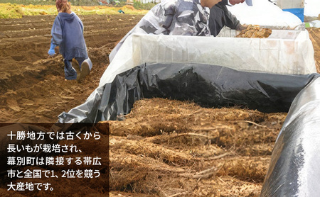 北海道 十勝の大地が育てたシャキシャキ食感と強い粘り 幕別産 長いも 2Lサイズ 5kg［木川商店］【 長いも 長芋 ながいも ナガイモ とろろ 芋 いも 野菜 10kg 5kg  産地直送 旬 濃厚