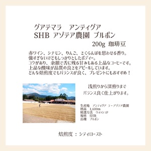 【上田珈琲豆焙煎堂】珈琲豆 中深煎り セット 200g×2種 セット ブラジルブルボン・グアテマラSHB【豆】 HNNBM007