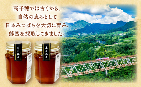 日本みつばち 高千穂の純粋蜂蜜 75g×2本|蜂蜜 はちみつ 日本みつばち 純粋蜂蜜 国産蜂蜜 天然蜂蜜 垂れ蜜 蜜蜂 希少 蜂蜜 濃厚 花 伝統製法 特産品 ふるさと納税 返礼品 宮崎県 高千穂町 