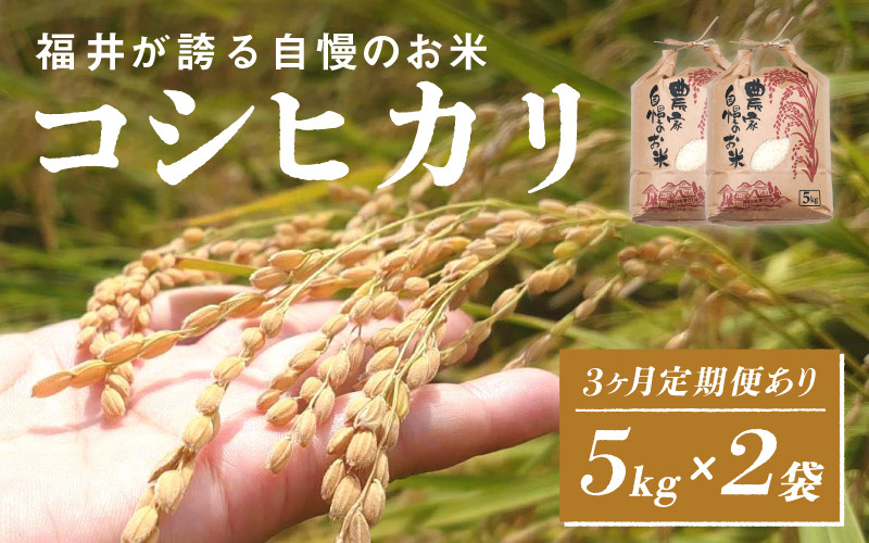 
            【選べる配送回数！】令和6年産　コシヒカリ　5kg×2袋（計10kg）定期便あり！[B-10102] / お米 新米 精米 ご飯 こしひかり ごはん 米農家 農業男子 鮮度抜群 福井県鯖江市
          