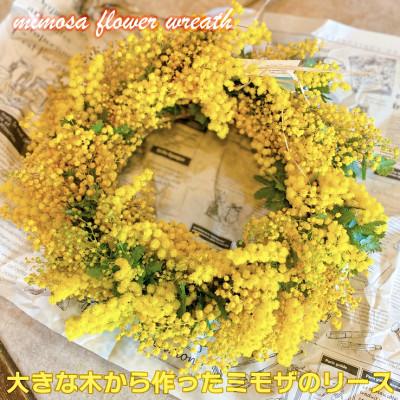 ふるさと納税 ひたちなか市 (3月発送)大きな木から作ったミモザのリース【限定品】おしゃれなお花をインテリア壁飾りプレゼントに!