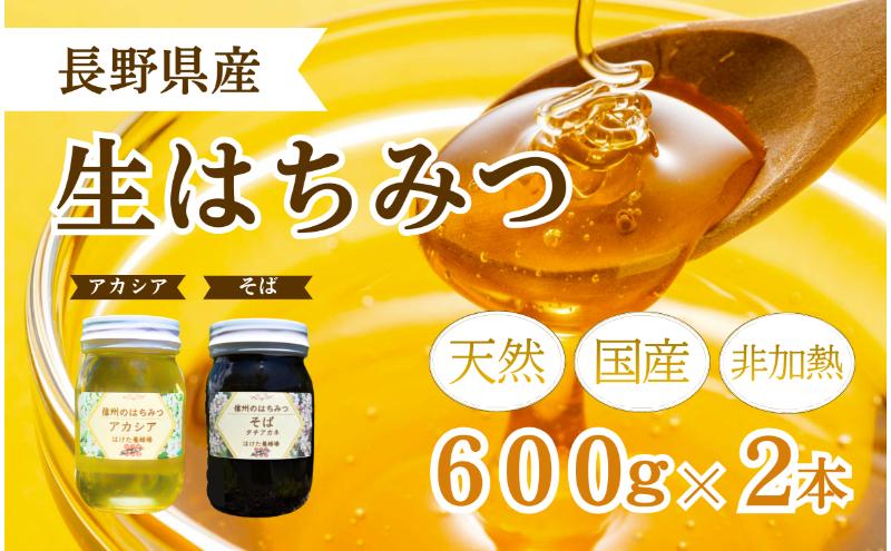 国産 生はちみつ 600g 2本セット アカシア ソバ セット 詰め