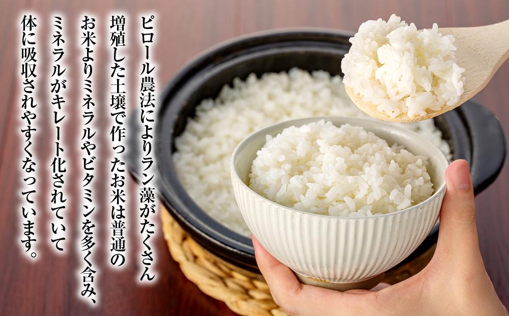【定期便　全3回】ピロール農法で作る弱アルカリ性のコシヒカリ 5kg
