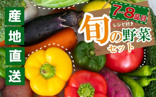 季節の野菜セット 産地直送 朝採れ （7品 ～ 8品 野菜 セット 詰め合わせ 特産 季節 旬 新鮮 彩 ベジタブル 高知県 須崎市  ） NPO020