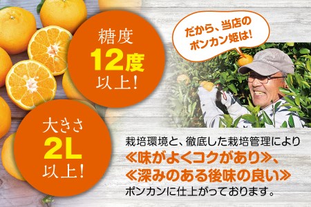 【先行予約】プレミア和歌山認定！ ポンカン姫 5kg 【2026年1月上旬～2026年2月上旬発送予定】 数量限定の極上ポンカン 柑橘類 ぽんかん フルーツ 果実 みかん ミカン オレンジ 旬 限定【