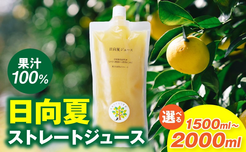 
                  【内容量が選べる】日向夏ストレートジュース100％_M403-001-SKU
                