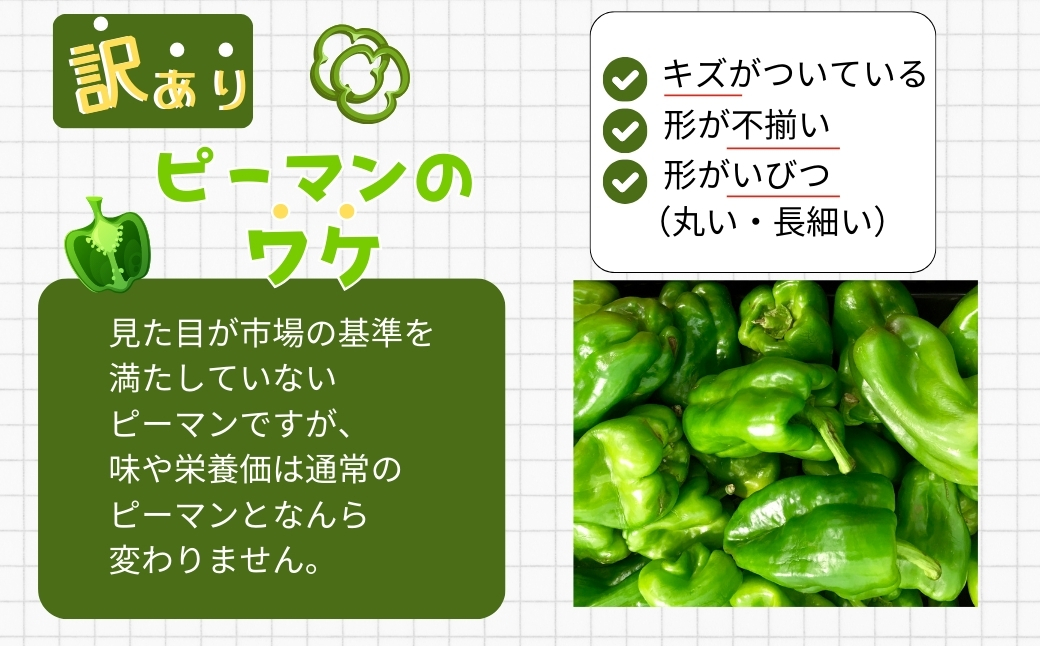 農家さん応援！ 【訳あり】 ピーマン 3kg 農家直送 野菜 新鮮 BBQ 焼肉 国産 おすすめ 送料無料 緊急支援品 生活応援 コロナ支援 福島県 田村市 新田ファーム