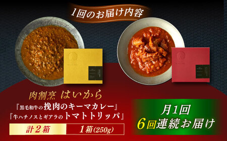 【6回定期便】肉割烹はいから『黒毛和牛の挽肉のキーマカレー』『牛ハチノスとギアラのトマトトリッパ』/ レトルト セット 牛肉 / 恵那市 / TWO-FACE JAPAN[AUFI045]