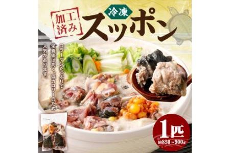 加工済み スッポン 1匹 約850～900g カット済み すっぽん 揚げ物 鍋 すっぽん鍋