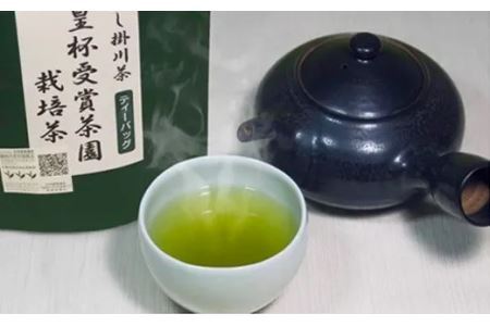 天皇杯受賞茶園栽培茶 深蒸し掛川茶 ティーバッグ 5ｇ × 10個 × 10袋 計100個 山英 6317