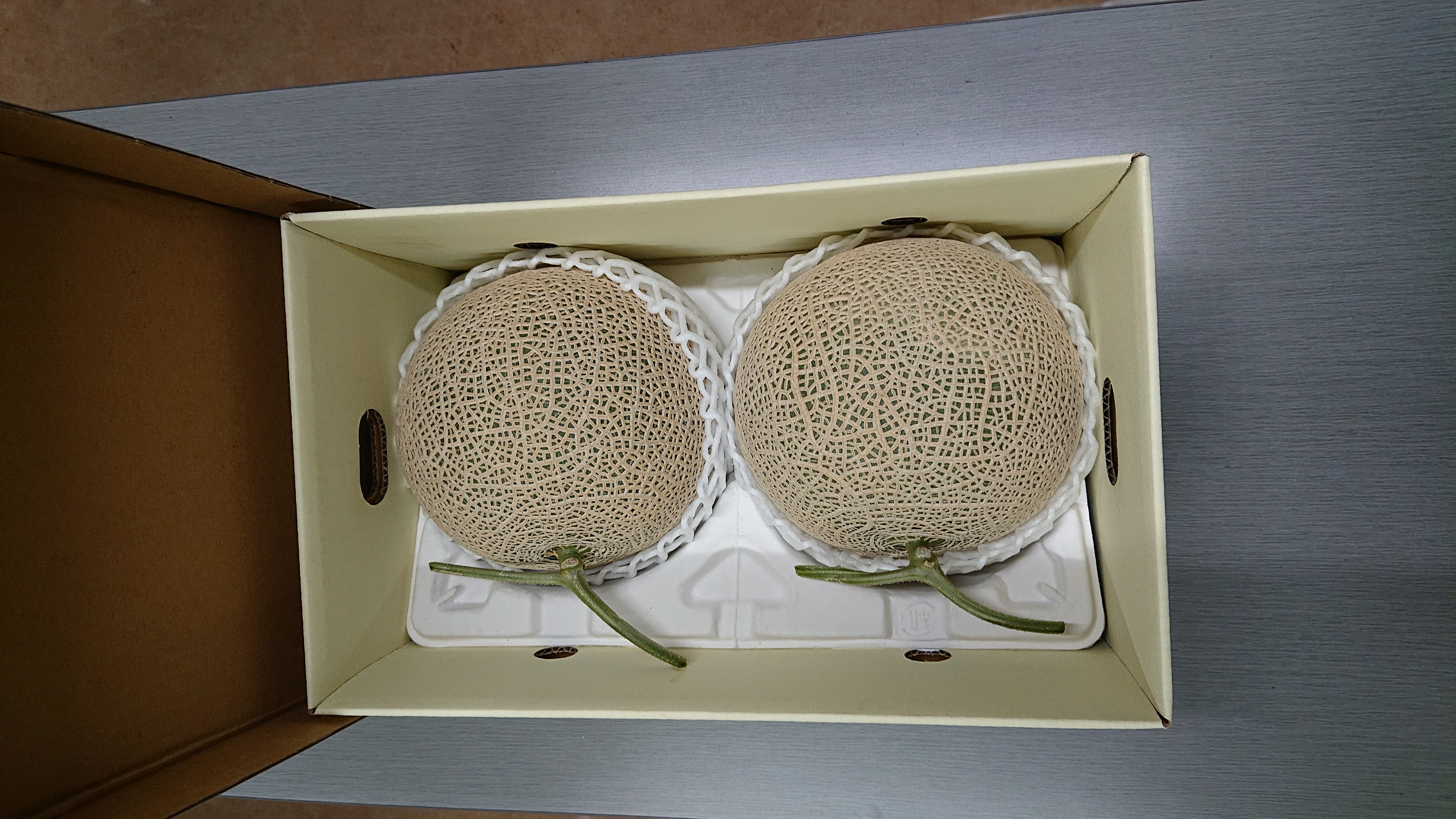 【先行予約】 宇城市産 アールスメロン 2玉 フレッシュダイレクト【2026年6月上旬〜7月下旬頃順次発送予定】