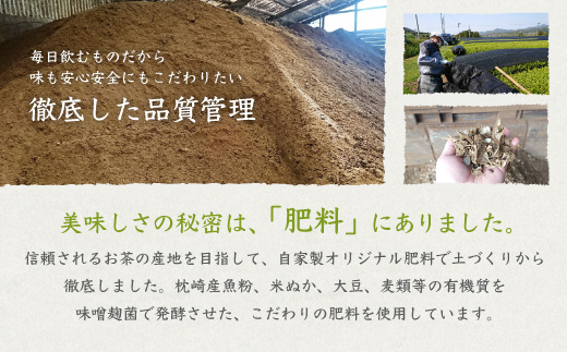 水出し煎茶ティーバッグ 高級深蒸し茶 ギフト A3-99【配送不可地域：離島】【1166618】