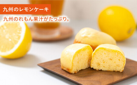 【全12回定期便】VISAVIS菓子 2種セット 計9点 ＜株式会社シークス＞那珂川市  定期便 バターケーキ お菓子 スイーツ  91000 91000円 [GAU009]