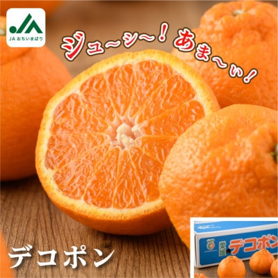 【先行予約】デコポン 3L～L 18～24玉 不知火 国産 柑橘 KB02510