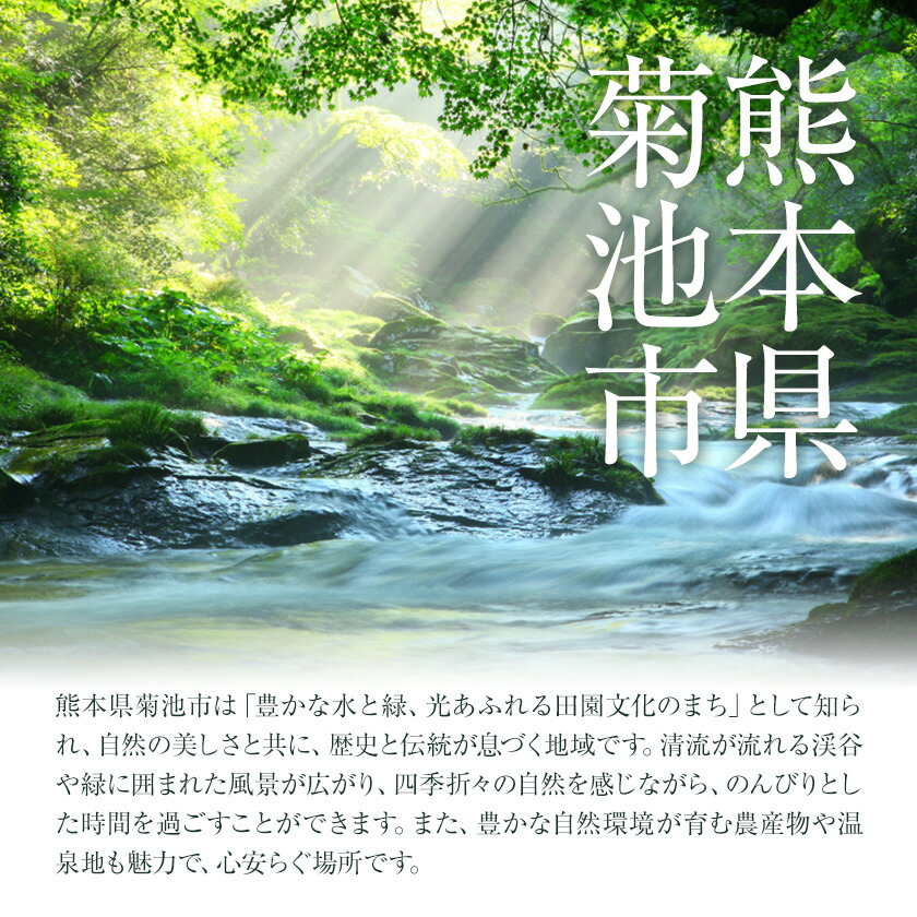 卵 にんにくたまご 内容量 60個 株式会社つづき《90日以内に出荷予定(土日祝除く)》熊本県 菊池市 卵 たまご にんにく卵 鶏卵 熊本県産 九州産 冷蔵 送料無料