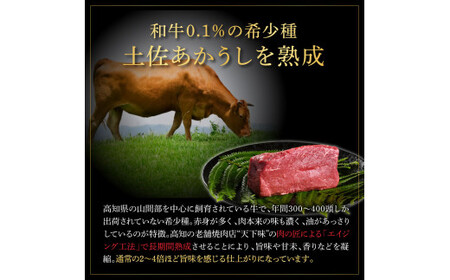 土佐あかうし 特選赤身ブロック 500g（田野屋銀象完全天日塩1P付き） 高知県土佐市 【株式会社LATERAL】 [BQAU031]