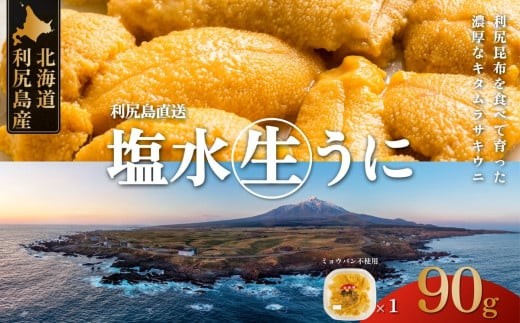 【2026年発送受付】利尻昆布育ちの天然生うに 塩水キタムラサキ 90g (90g×1p) 北海道 朝獲れ 塩水 ウニ 無添加 ミョウバン不使用 生 うに 雲丹 国産 天然 利尻 キタムラサキ ムラサキ[1110010]