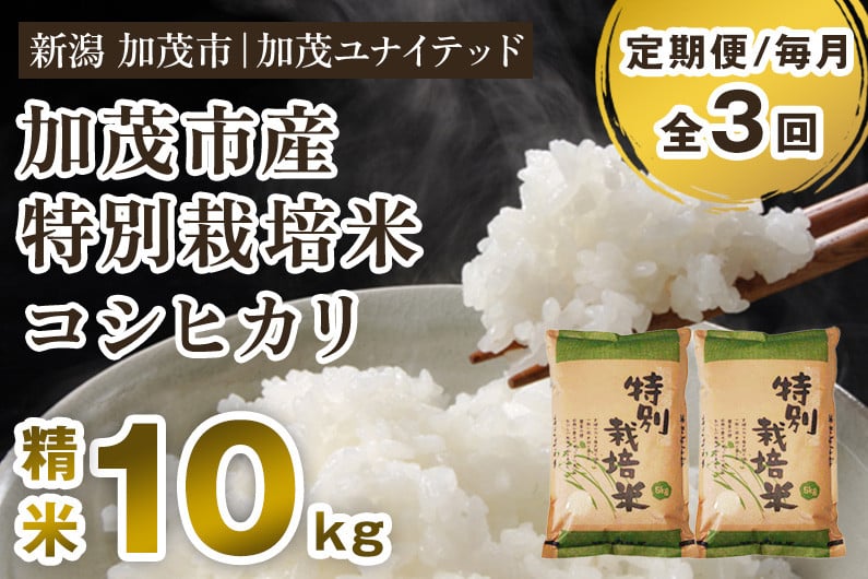 
            【令和6年産米】【定期便3ヶ月毎月お届け】加茂市産 特別栽培米 コシヒカリ 精米10kg 栽培期間中は化学肥料・農薬不使用 新潟米 お米 白米 こしひかり 加茂ユナイテッド
          