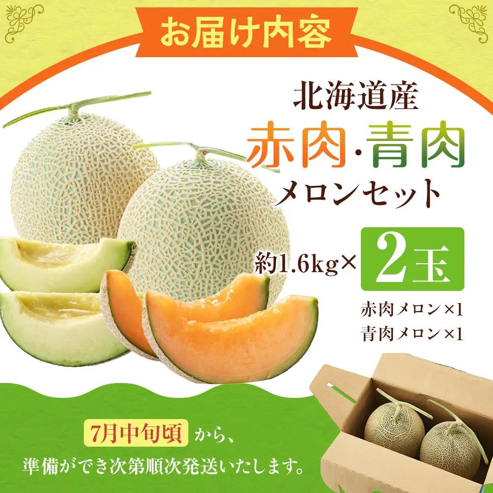 【先行予約】北海道産赤・青肉メロン2玉セット(各1.6kg×1) (2026年7月中旬から発送開始) | メロン _02062