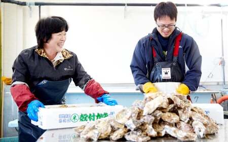 【濃厚】 むき身牡蠣 1.5kg(500g×3袋) 冷蔵 加熱用 牡蠣