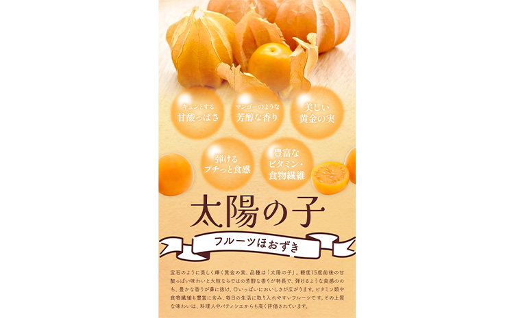 【2026年発送 先行予約 】フルーツ ほおずき 太陽の子 約500g のざわ農園《9月上旬-10月末頃出荷》北海道 日高町 希少 ホオズキ---hohdk_nn_5_500g---