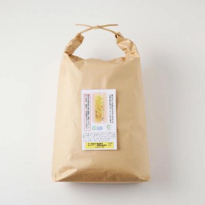 ふるさと納税 関市 玄米10kg 安心・安全なすずさんの米 1等米のはつしも米/大粒　和食  お米　岐阜県関市 |  | 03