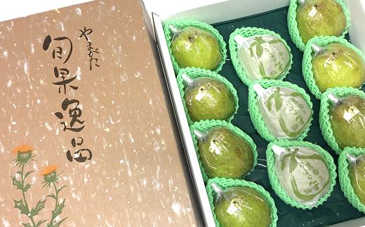 11玉入りイメージ
