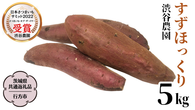 
            すずほっくり 約5kg 【茨城県共通返礼品／行方市】 渋谷農園 さつまいも  いも 芋 焼芋 [DT005sa]	
          