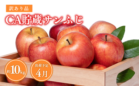 【レビューキャンペーン】4月発送 訳ありCA貯蔵 葉とらずサンふじ 約10kg  青森県産りんご[hi-0009-012]