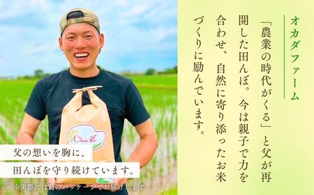 令和7年産新米 こだわりのコシヒカリ 10kg | コシヒカリ 精米 茨城県 龍ケ崎市
