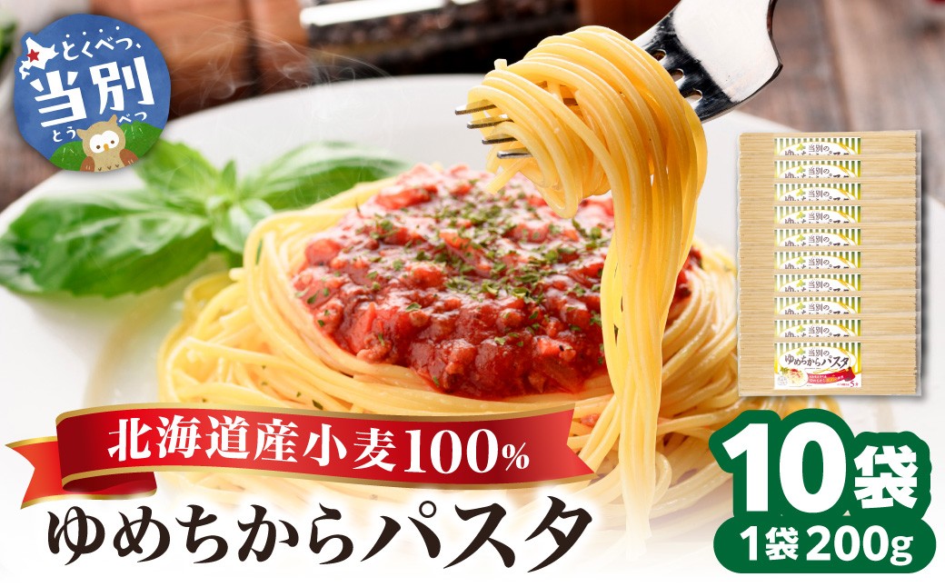 
                  当別町産 小麦 ゆめちから 100%乾麵 パスタ 10本 JA北石狩農協協同組合 北海道 当別町
                