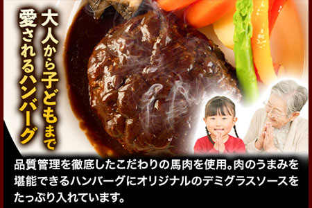 馬肉デミハンバーグ 200g×8個 計1.6kg 千興ファーム 馬肉 冷凍 《60日以内に出荷予定(土日祝除く)》ジューシー デミグラスソース 肉 熊本県御船町 馬肉 惣菜 お弁当
