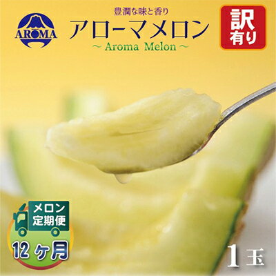 【ふるさと納税】【毎月定期便】【訳あり】アローマメロン 1玉 全12回【配送不可地域：離島・北海道・沖縄県】【4013172】