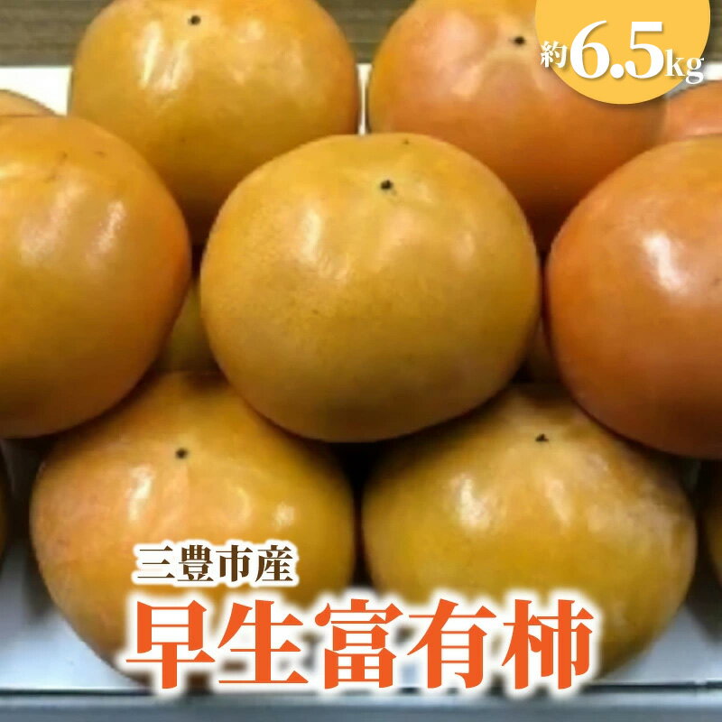 【ふるさと納税】富有柿 三豊市産早生富有柿 約6.5kg [ ふゆう柿 5kg 以上 柿 カキ かき 直送 新鮮 旬 美容効果 栄養価 送料無料 フルーツ 果物 お取り寄せ 詰め合わせ 詰合せ 秋 旬 10000 10,000円 台 香川県 三豊市 五色青果 ]