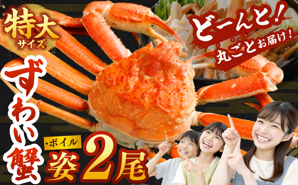 特大 ボイル ズワイ蟹 姿 1.5kg 2尾 ｜ 海鮮 カニ かに 蟹 ズワイガニ かにみそ カニみそ ボイル 瞬間冷凍 冷凍