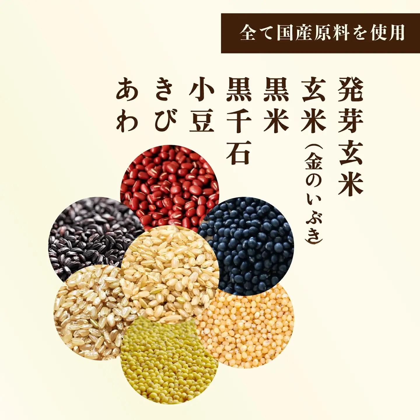 【玄米 黒米】  国産100% 雑穀6種  パックご飯 12個 玄米 パックご飯