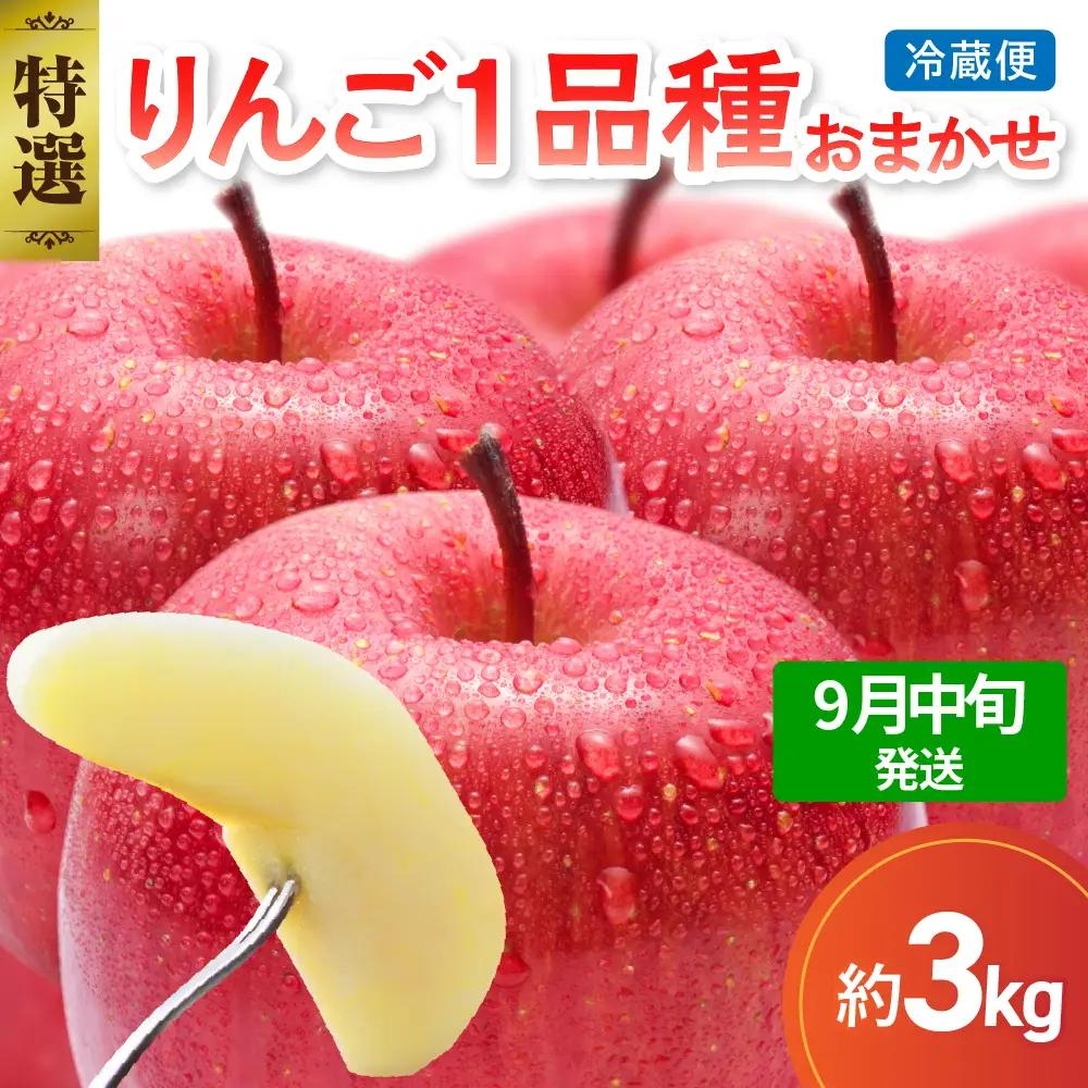 【2026年9月中旬発送】【特選】 りんご 約3kg おまかせ1品種 青森産 りんご