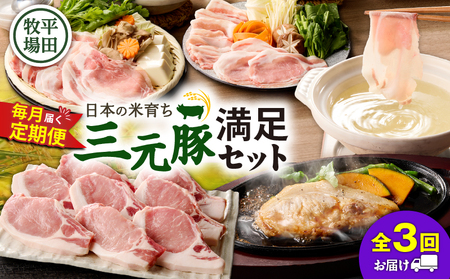 【 全3回 毎月 定期便 】 日本 の 米育ち 平田牧場 の 満足セット ！ T036-T05-01 定期 肉 お肉 にく 豚 豚肉 ブタ ぶた 三元豚 しゃぶしゃぶ 鍋 お鍋 ステーキ とんかつ 黒豚 冷凍 バークシャー種 特別品種 便利 パック おかず 夕食 美味しい おいしい ジューシー ふるさと納税 北海道 苫小牧市 おすすめ ランキング プレゼント ギフト
