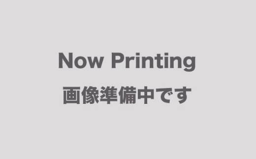 モカベージュ レギュラー シートクッション erinoa ／ 車用クッション 疲労軽減 メッシュ素材 通気性 快適 姿勢 丸洗い可 厚み調節可 小柄な方 埼玉県 特産 No.576-09