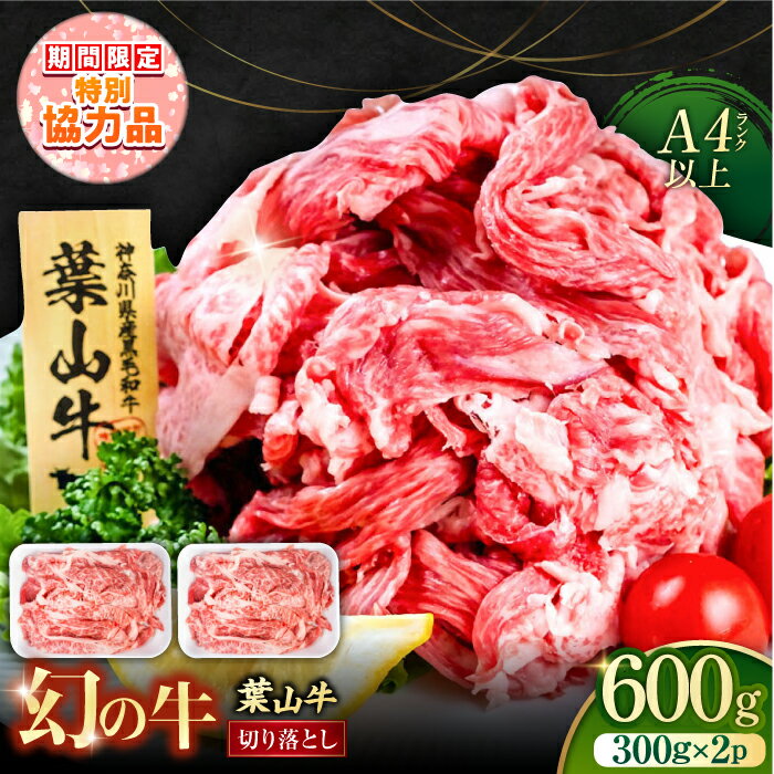 【ふるさと納税】【新生活キャンペーン中！】葉山牛 切り落とし300g×2パック 計600g 小分け 便利 切り落とし 国産 和牛 牛肉 肉 お肉 希少 きりおとし 神奈川 冷凍 パック ブランド牛 横須賀 【株式会社羽根】[AKAG001]