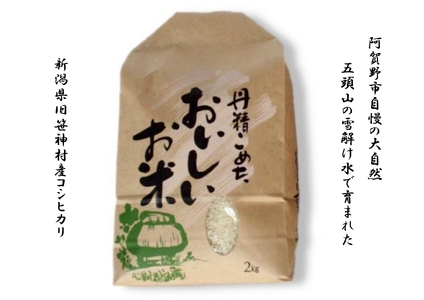 【令和7年産新米予約】【3ヶ月定期便】 旧笹神村産 コシヒカリ 2kg×3回 合計6kg 白米 上泉 農家直送 コメドック 金賞 10月中旬より順次発送予定 1Q16033