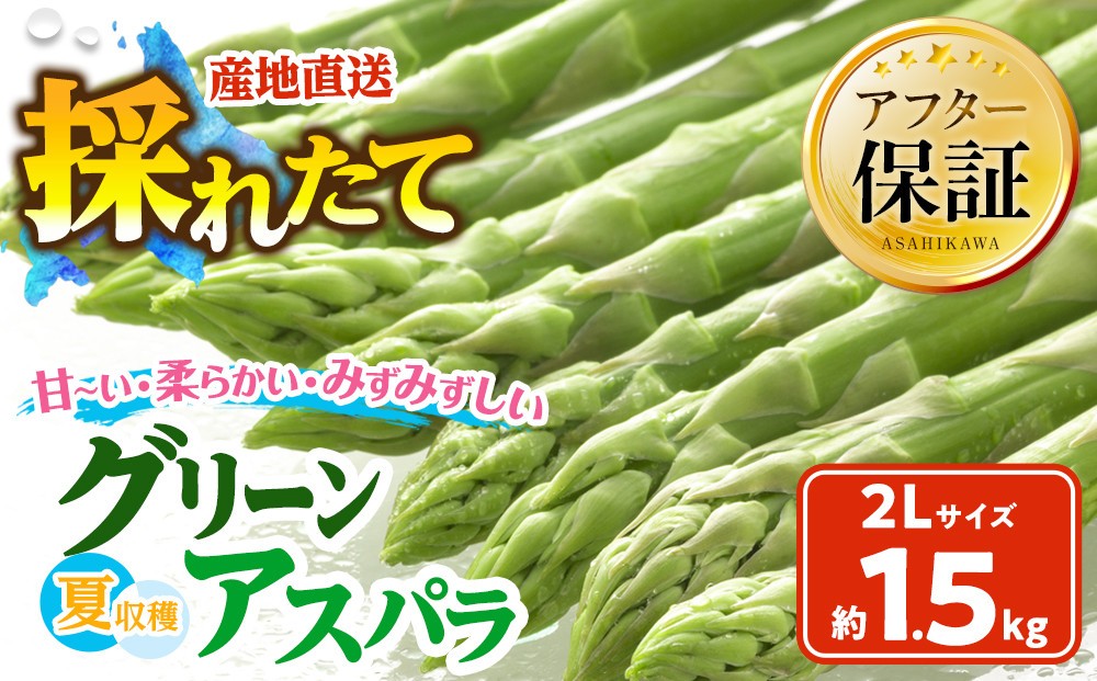 
            【2026年先行予約】夏収穫グリーンアスパラ 2Lサイズ 1.5kg（2026年7月下旬から発送開始予定）【 アスパラ アスパラガス 朝採り とれたて 野菜 旬 小分け 保存 産直 産地直送 お取り寄せ 旭川市 北海道 】_00415
          