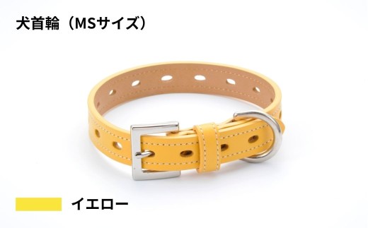 【MSサイズ・イエロー】犬首輪 本革製 ペット用品 小型犬 中型犬 犬用品 犬グッズ 犬用首輪 日本製 | 本革 国産人工皮革 ベルエース 耐久性 革職人 愛犬 てるべる 埼玉県 越谷市