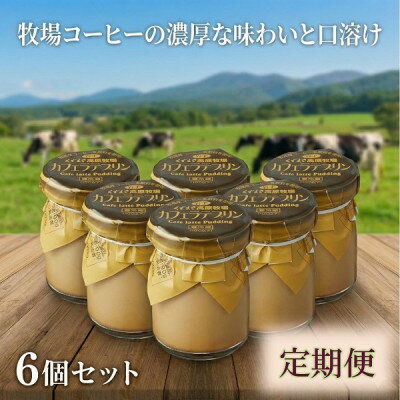 【ふるさと納税】【毎月定期便】くずまき高原牧場 カフェラテプリン 6個セット全2回【配送不可地域：離島】【4078985】