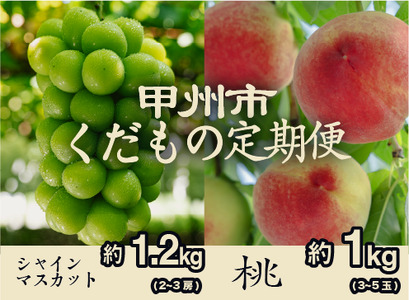 【甲州市くだもの定期便2選】 桃約1kg・シャインマスカット約1.2kg【2025年発送】（PJ）B18-170【桃 もも モモ ピーチ 葡萄 ぶどう ブドウ シャインマスカット 令和7年発送 期間限定 山梨県産 甲州市 フルーツ 果物】